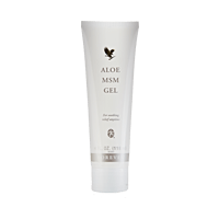 Aloe MSM Gel
